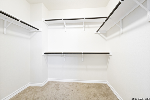13115 Maestro Spark Property Photo 16