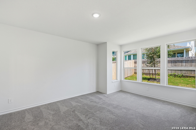 12433 Dime Box Property Photo 27