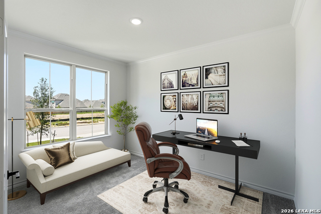 12429 Dime Box Property Photo 8