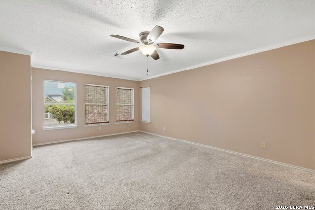 1644 Jasmine Property Photo 16