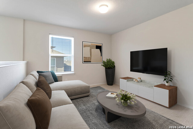 10331 Braunig Property Photo 11