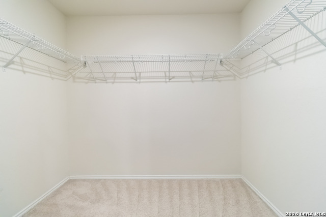 10331 Braunig Property Photo 13