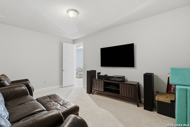 19014 Summer Hvn Property Photo 32