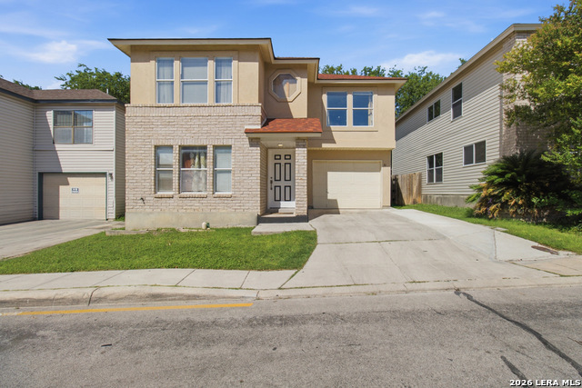 30 McLennan Oak