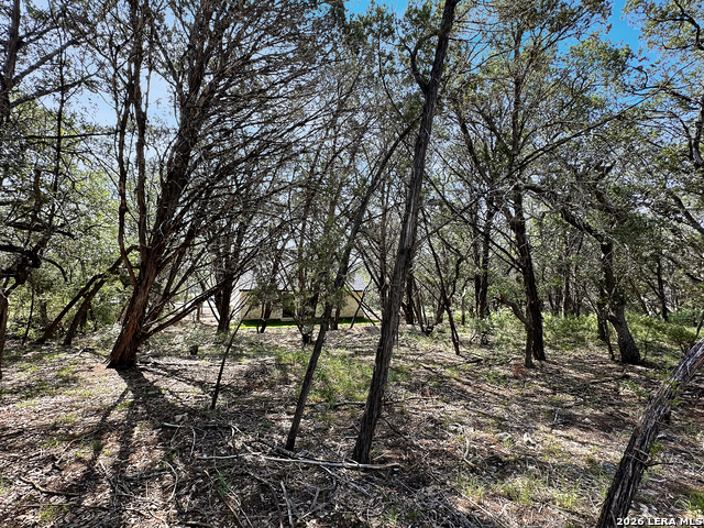 197 Spring Mountain Dr Property Photo 25