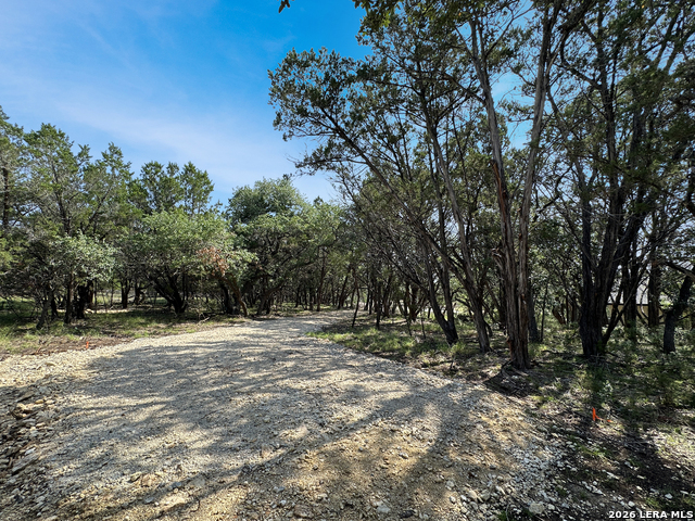 197 Spring Mountain Dr Property Photo 29