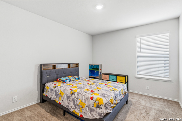 10512 Gala Blvd Property Photo 28