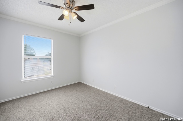 3502 Bottomless Lake Property Photo 15