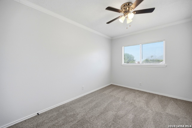 3502 Bottomless Lake Property Photo 16