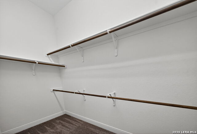 23218 Curvado Property Photo 32