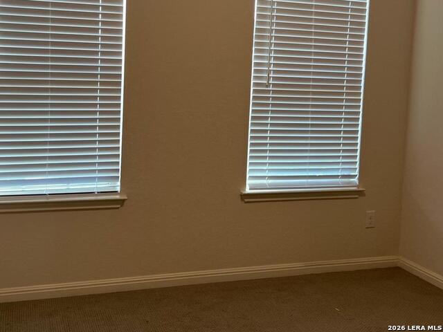 12907 Irvin Path Property Photo 17