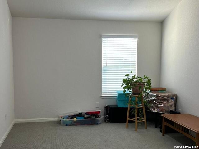 12907 Irvin Path Property Photo 19