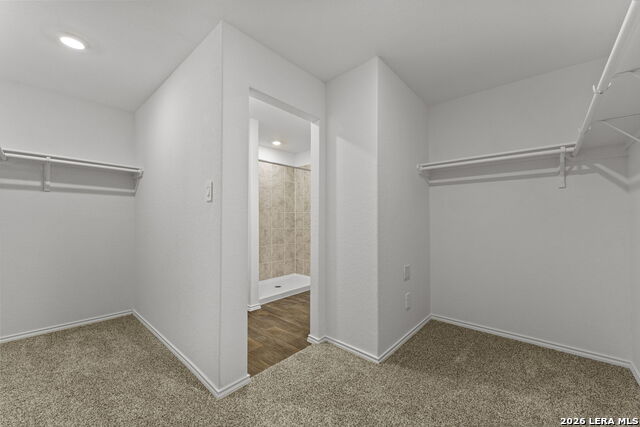 1614 Olive Ibis Property Photo 17