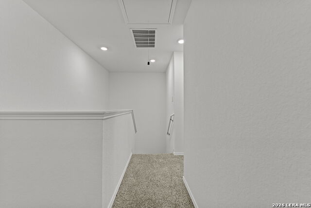 1614 Olive Ibis Property Photo 18