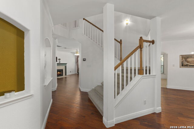 2323 Cardigan Hl Property Photo 12