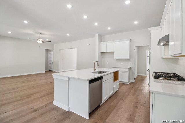 325 Firewheel Loop Property Photo 12