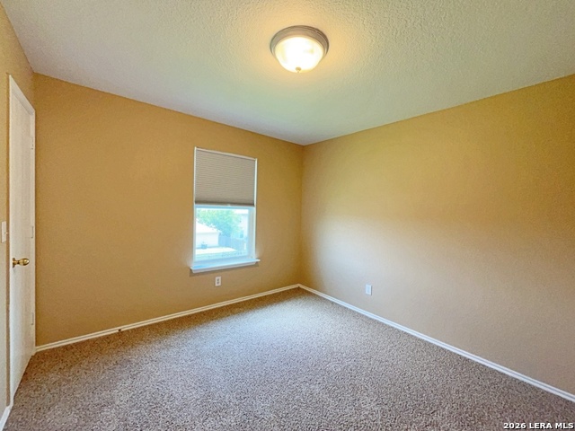 11210 Dublin Trace Property Photo 27