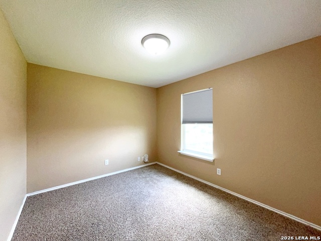 11210 Dublin Trace Property Photo 29
