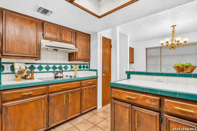 13067 N Hunters Cir Property Photo 11