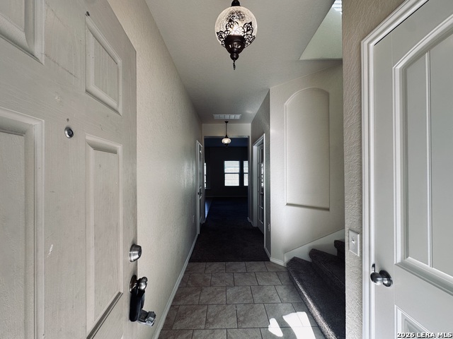 7102 Hibiscus Fls Property Photo 2