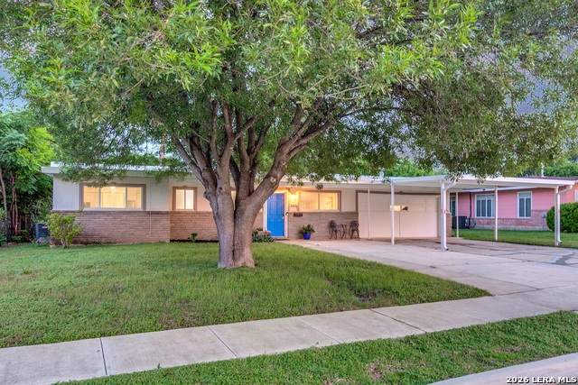 346 Shannon Lee Property Photo 4