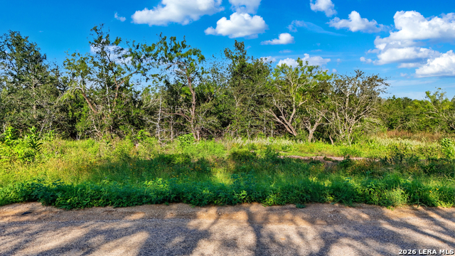 485 Marrou Rd. (lot 3) Property Photo 2