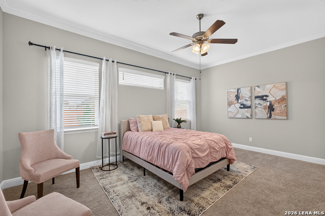 8203 Dovers Den Property Photo 22