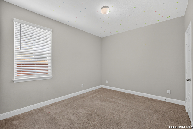 8203 Dovers Den Property Photo 29