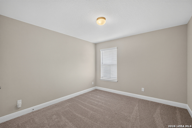 8203 Dovers Den Property Photo 40