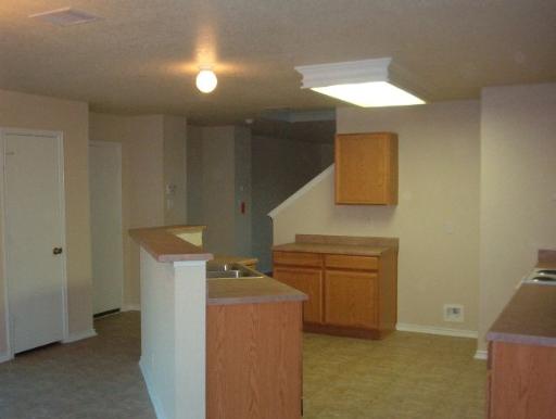 16138 Branching Oaks Property Photo 5