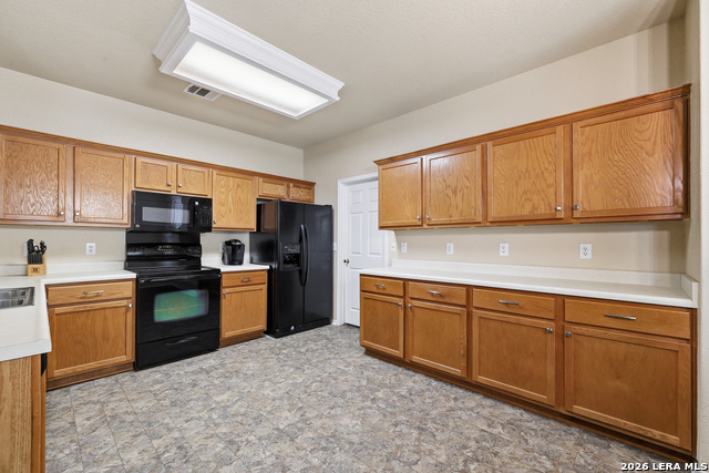 16927 Graham Walk Property Photo 11