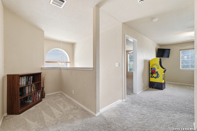 16927 Graham Walk Property Photo 16