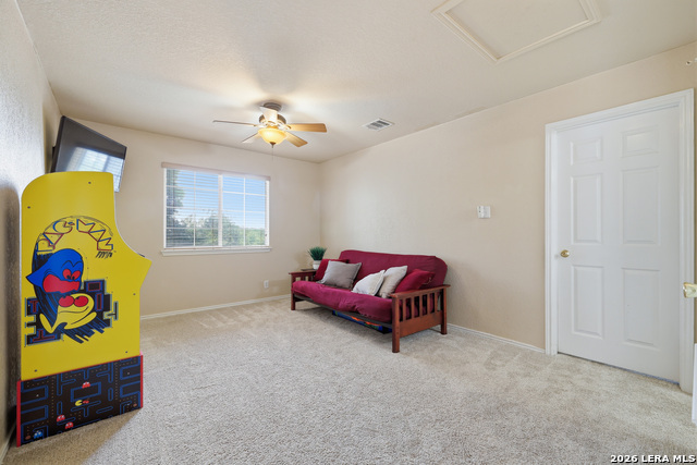 16927 Graham Walk Property Photo 17