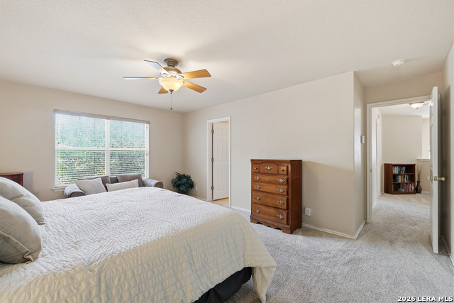 16927 Graham Walk Property Photo 20