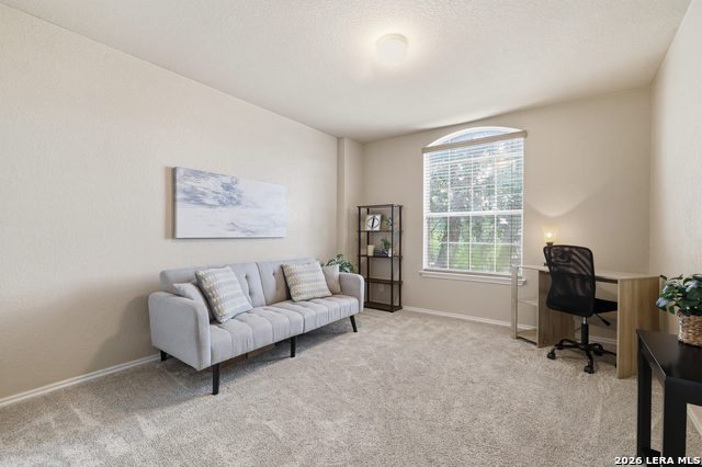 16927 Graham Walk Property Photo 23