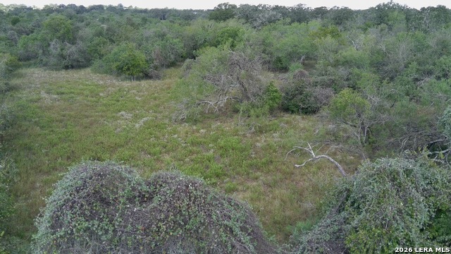 Tbd Dowdy Property Photo 9