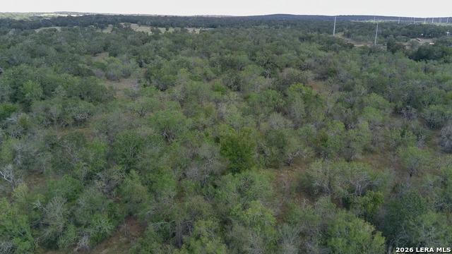 Tbd Dowdy Property Photo 10