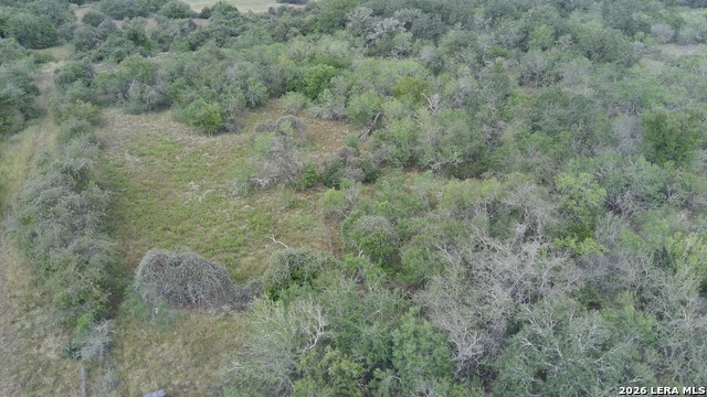 Tbd Dowdy Property Photo 11