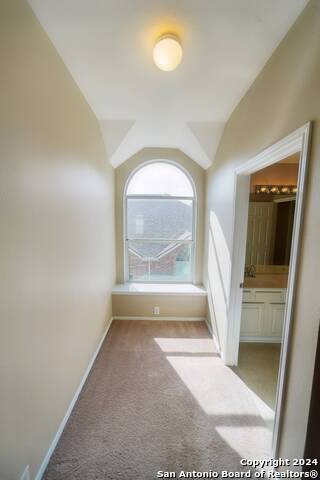 4736 Green Bluff Dr Property Photo 28