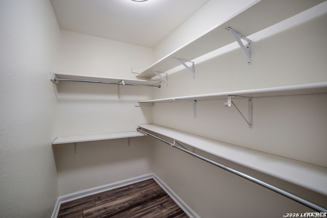13906 Tangle Tree St Property Photo 21