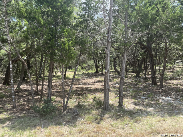 254 Flanders Property Photo 2