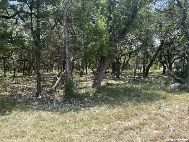 254 Flanders Property Photo 3