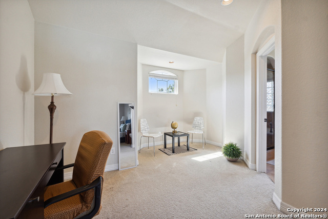 13401 Ronan Property Photo 37