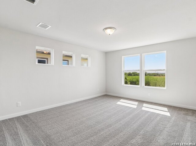 5922 Lakeview Point Property Photo 7