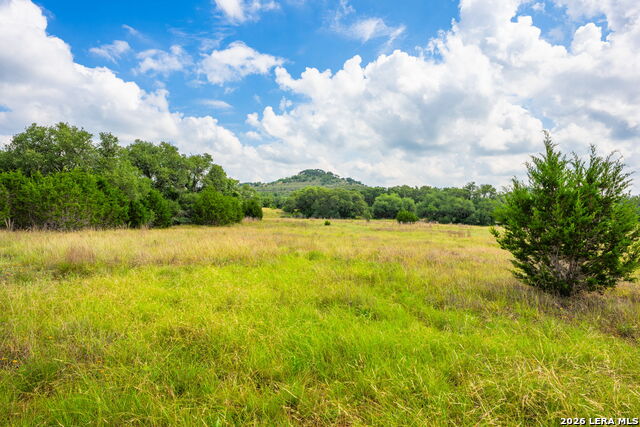 147 Gray Wolf Property Photo 38