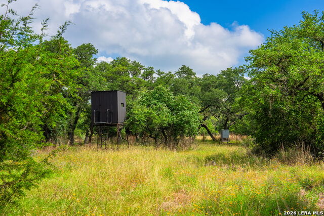 147 Gray Wolf Property Photo 39