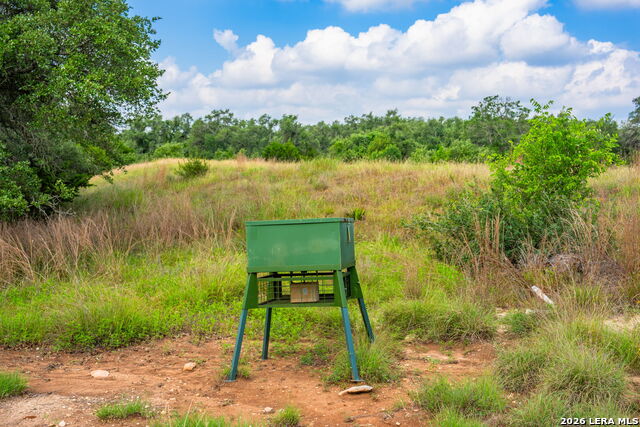 147 Gray Wolf Property Photo 41