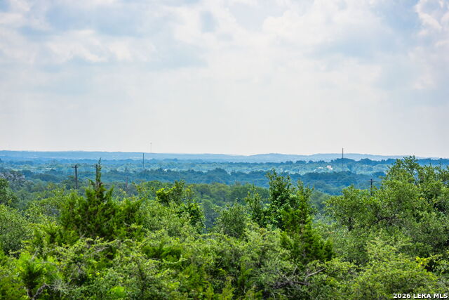 147 Gray Wolf Property Photo 42
