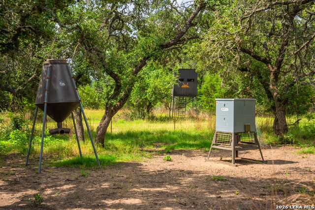 147 Gray Wolf Property Photo 43