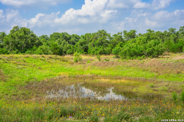 147 Gray Wolf Property Photo 45